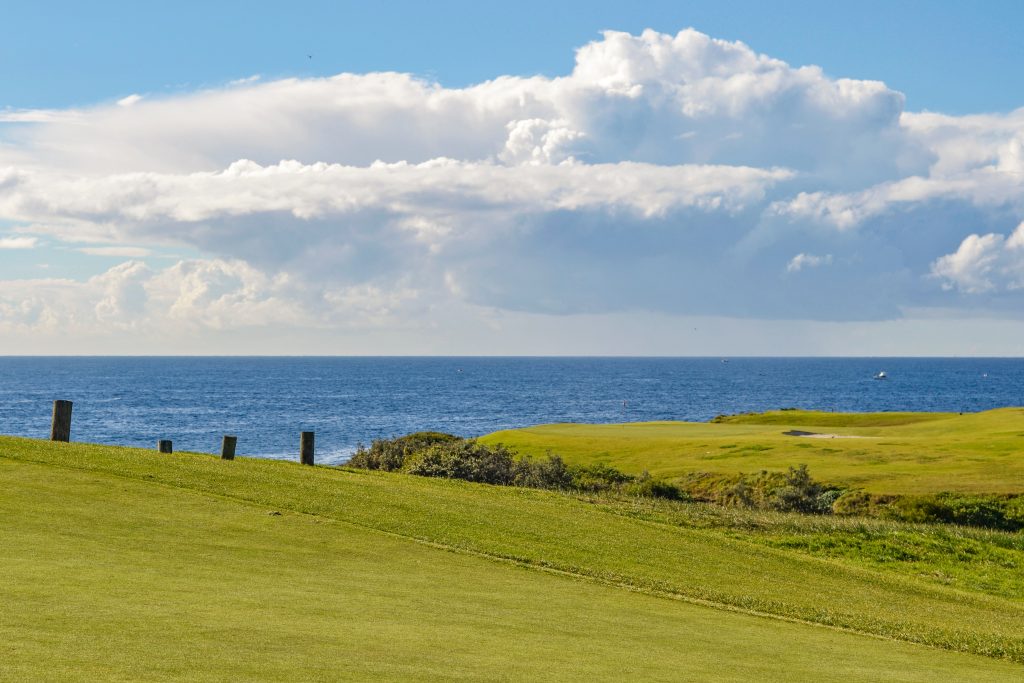 Little Bay - Mint Plumbing Local Plumber