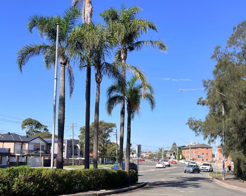 Large shopping centre and suburban setting in Eastgardens.