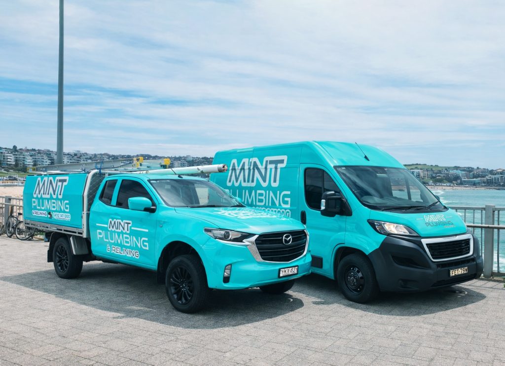 One of the mint plumbing utes