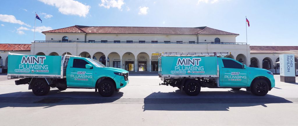One of the mint plumbing utes