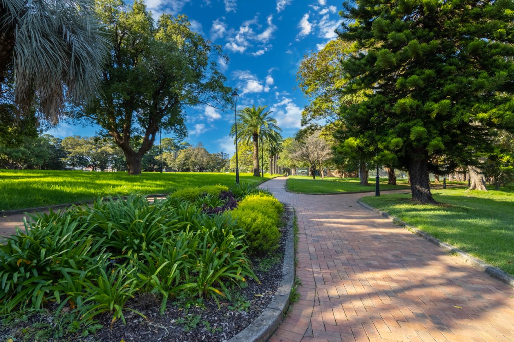 View of Queens Park with Sydney city skyline in the background.