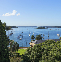 Scenic harbour views and greenery in Elizabeth Bay.