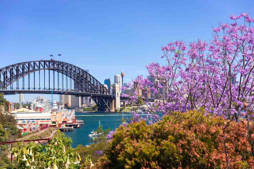 Lavender Bay NSW Local Plumber