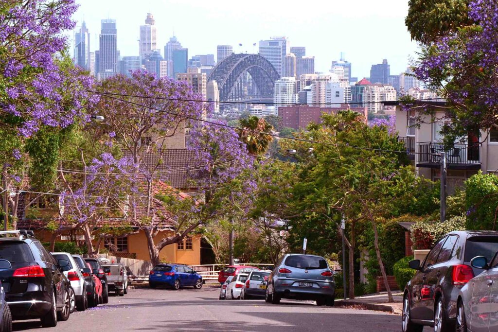 Neutral Bay Local Plumber