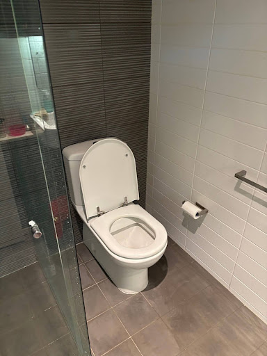 A recently repaired toilet in a Roseberry home