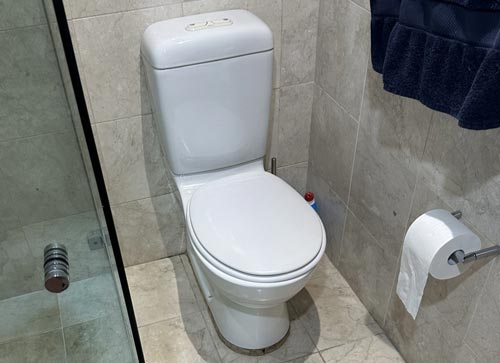 Toilet Repairs