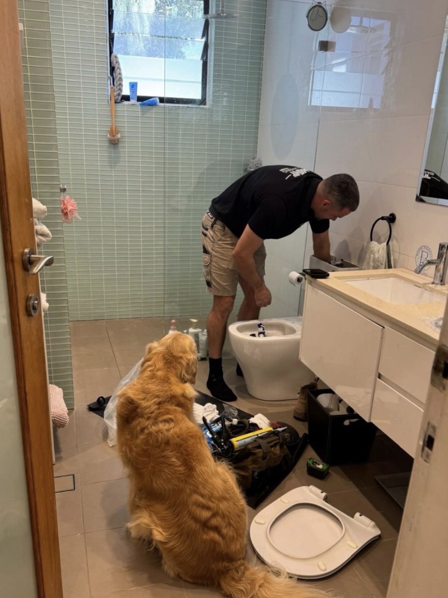 toilet blocked drains plumber